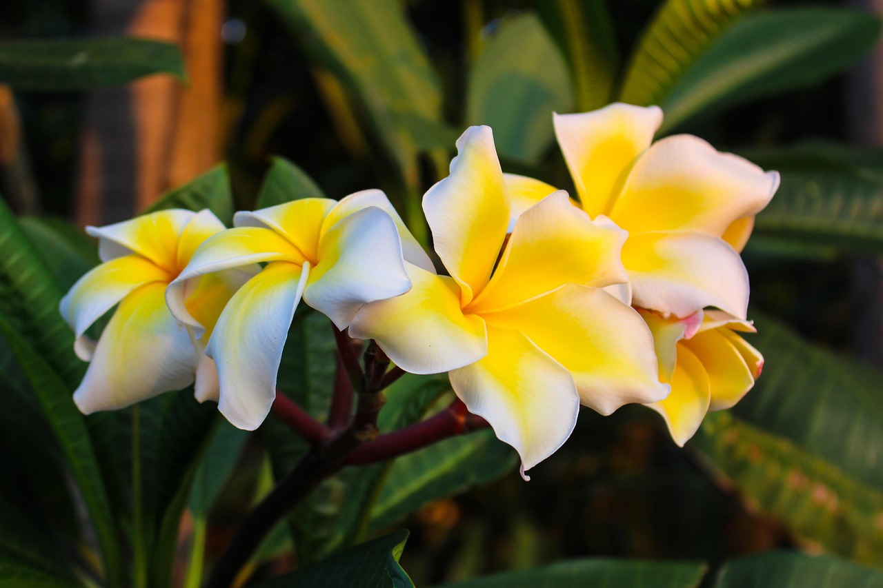 Whether you are a business leader, marketer, or consumer, understanding