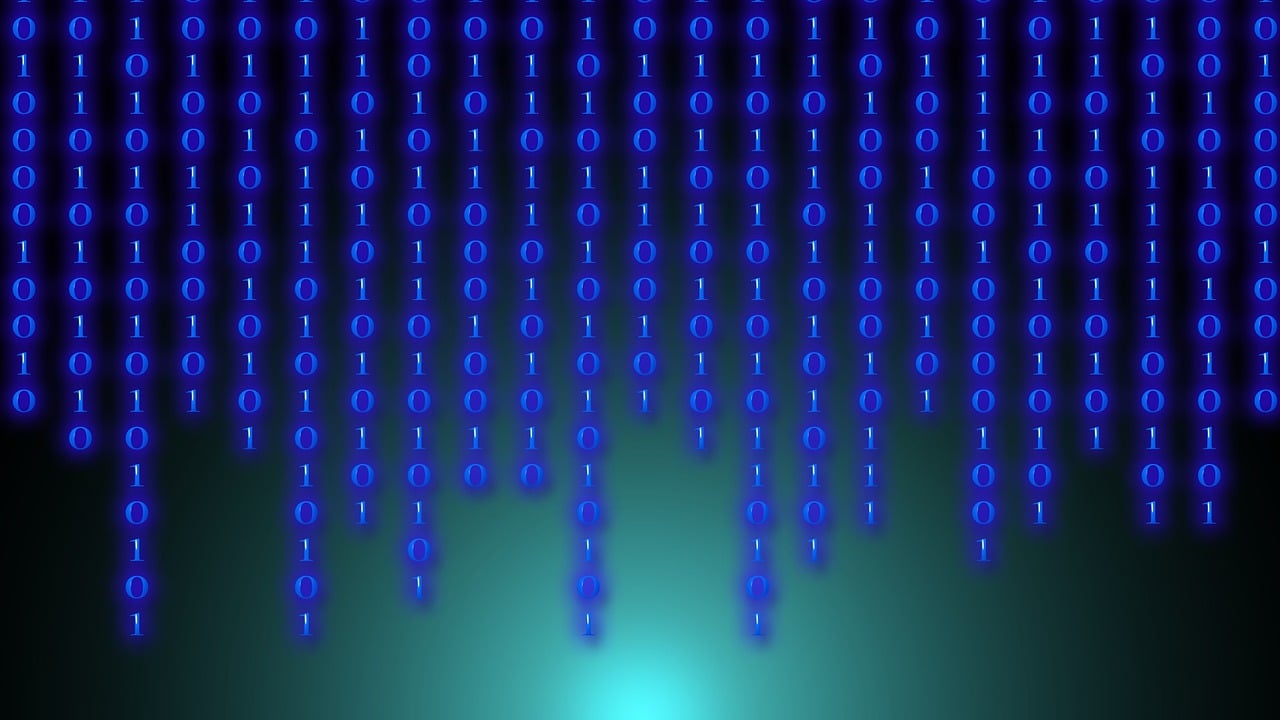 Consumer Behavior and Market Dynamics